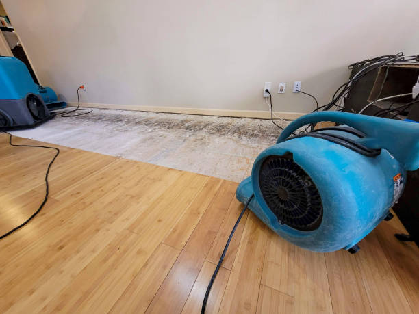 Professional Emergency Water Damage technician working in Trevor, WI